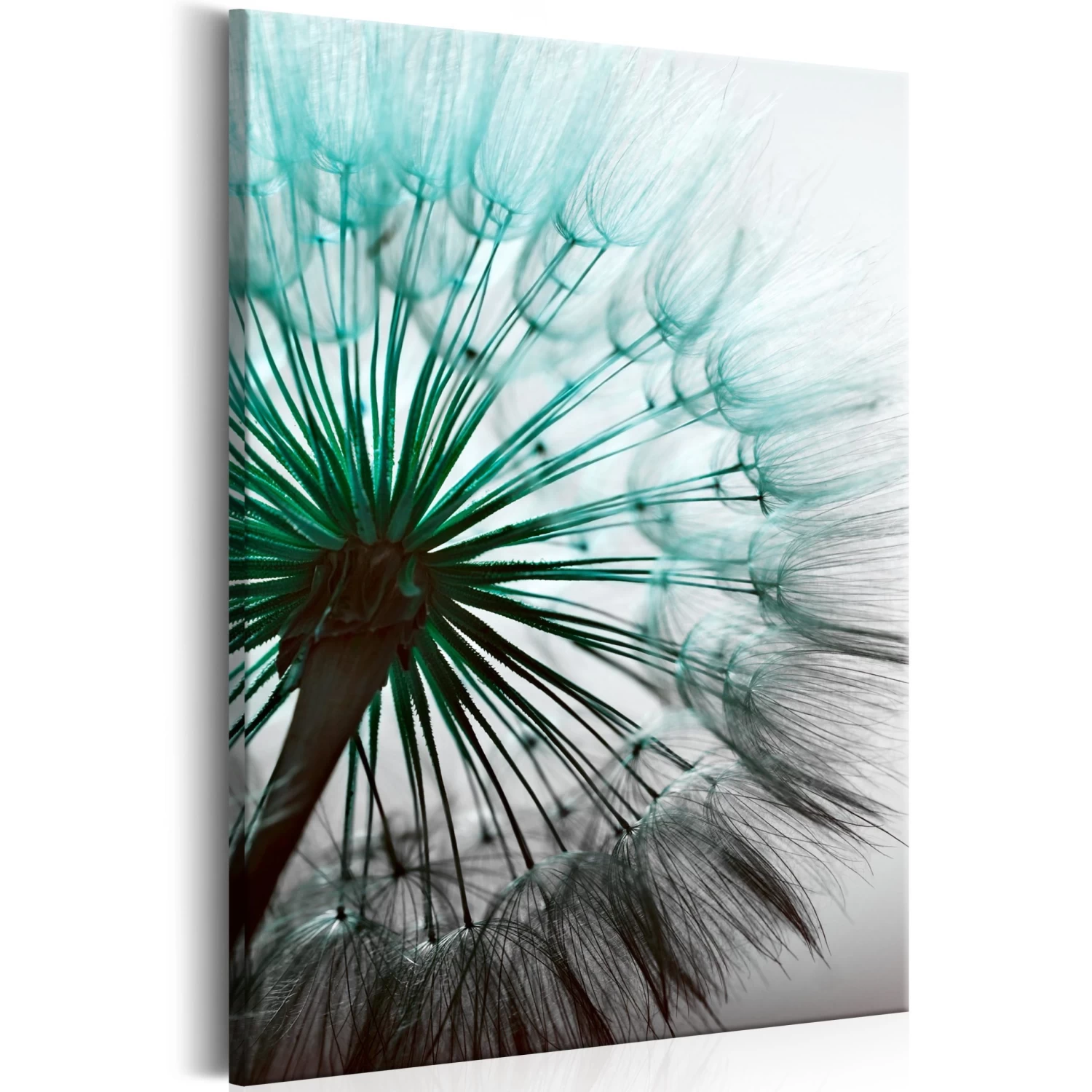 Wandbild Perfect Dandelion In Schwarz,Grün,Grau – Bild 2