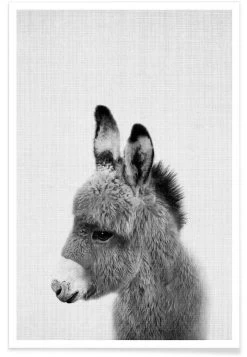 Poster "Print 64" In Grau & Schwarz