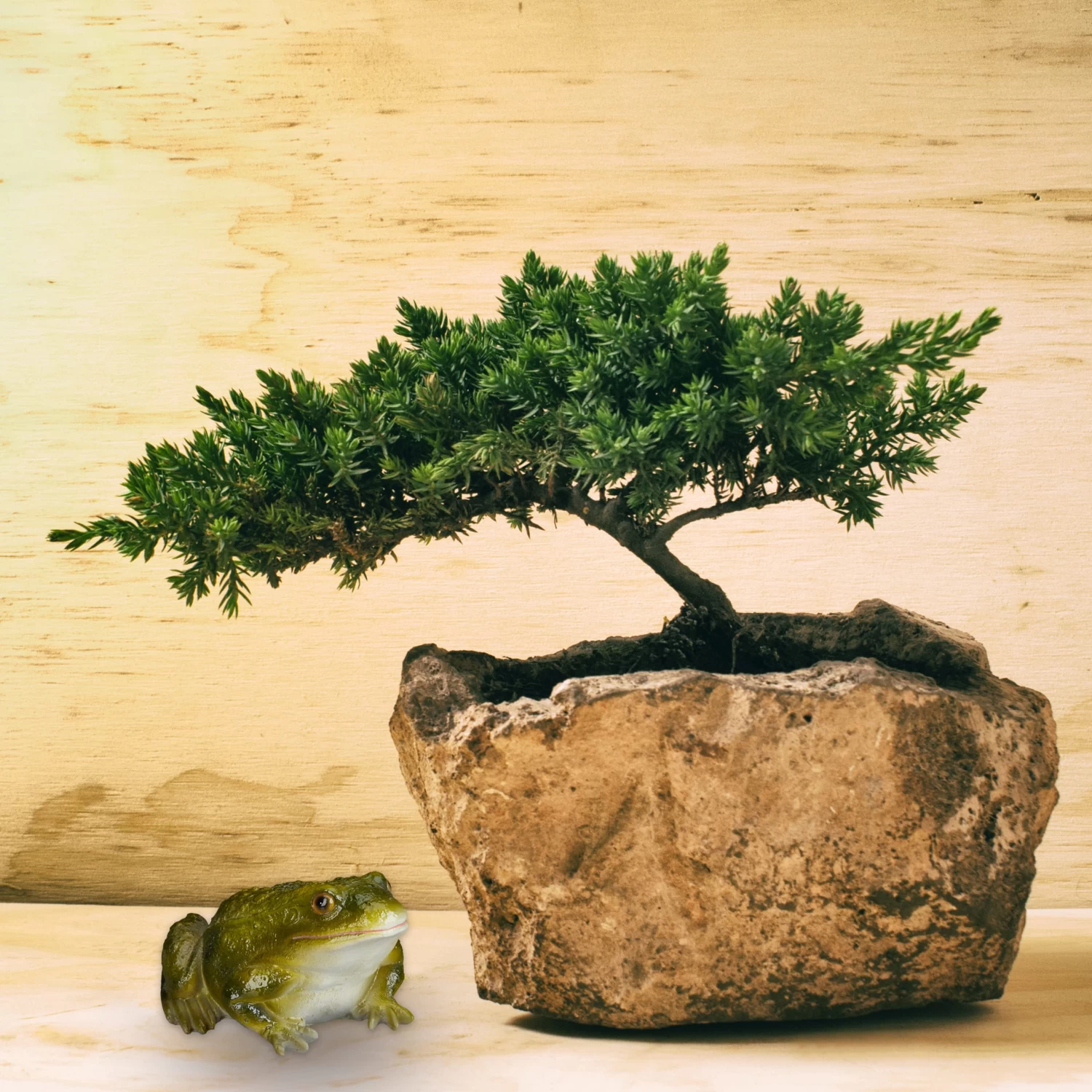 4x Froschfigur In Grün – Bild 5