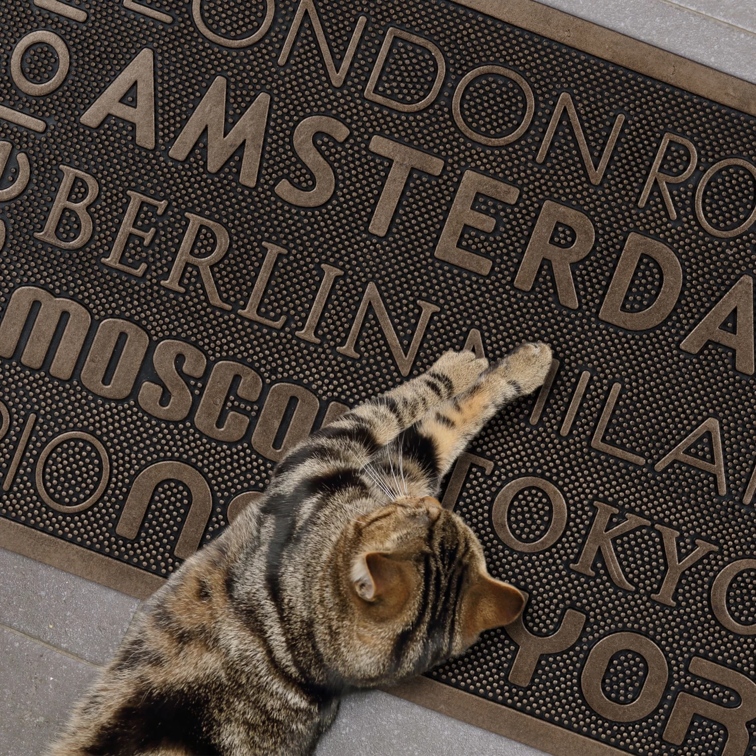 Fußmatte In Kupfer/ Schwarz - (B)75 X (T)45 Cm – Bild 5