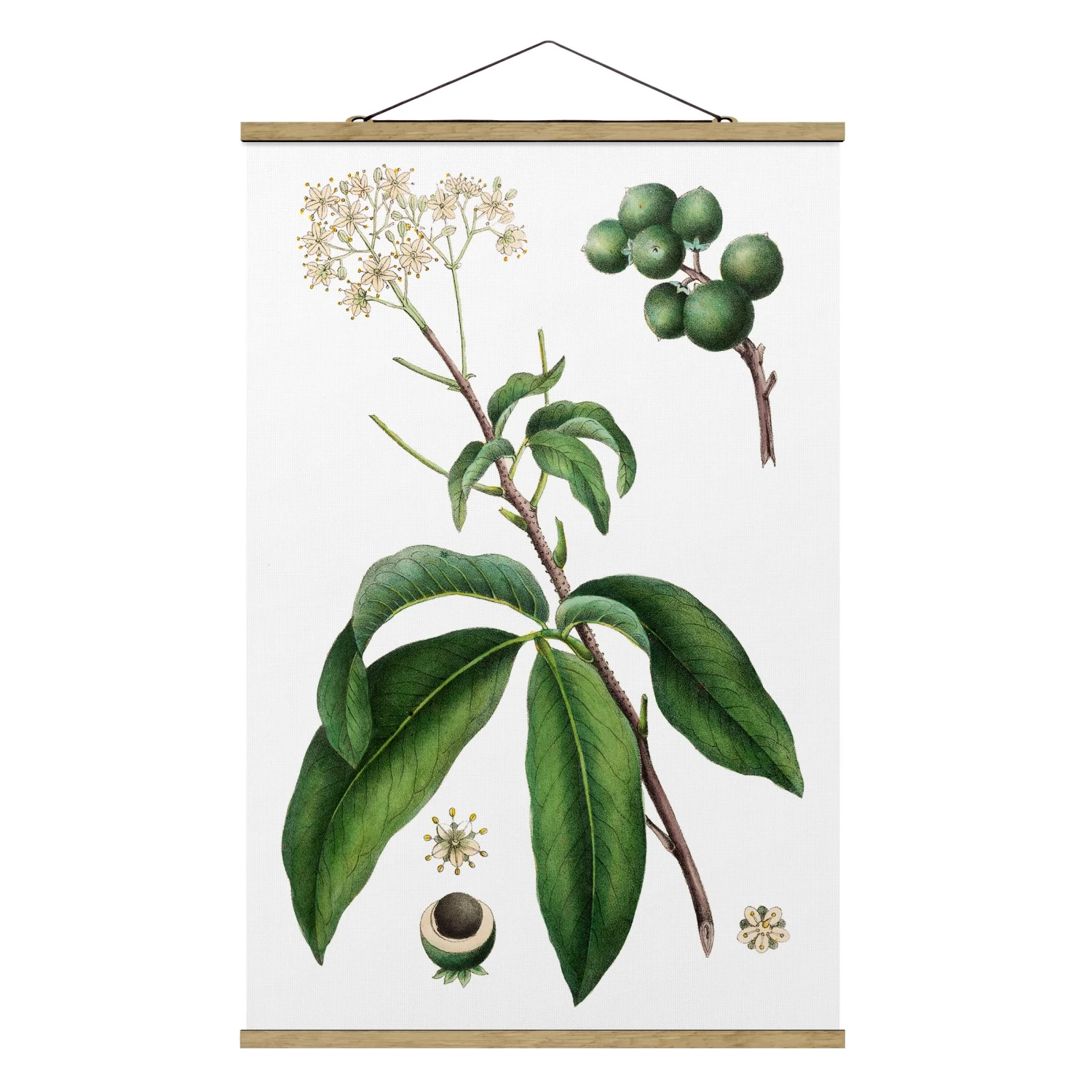 Stoffbild Mit Posterleisten - Laubwerk Mit Blüten II In Grün