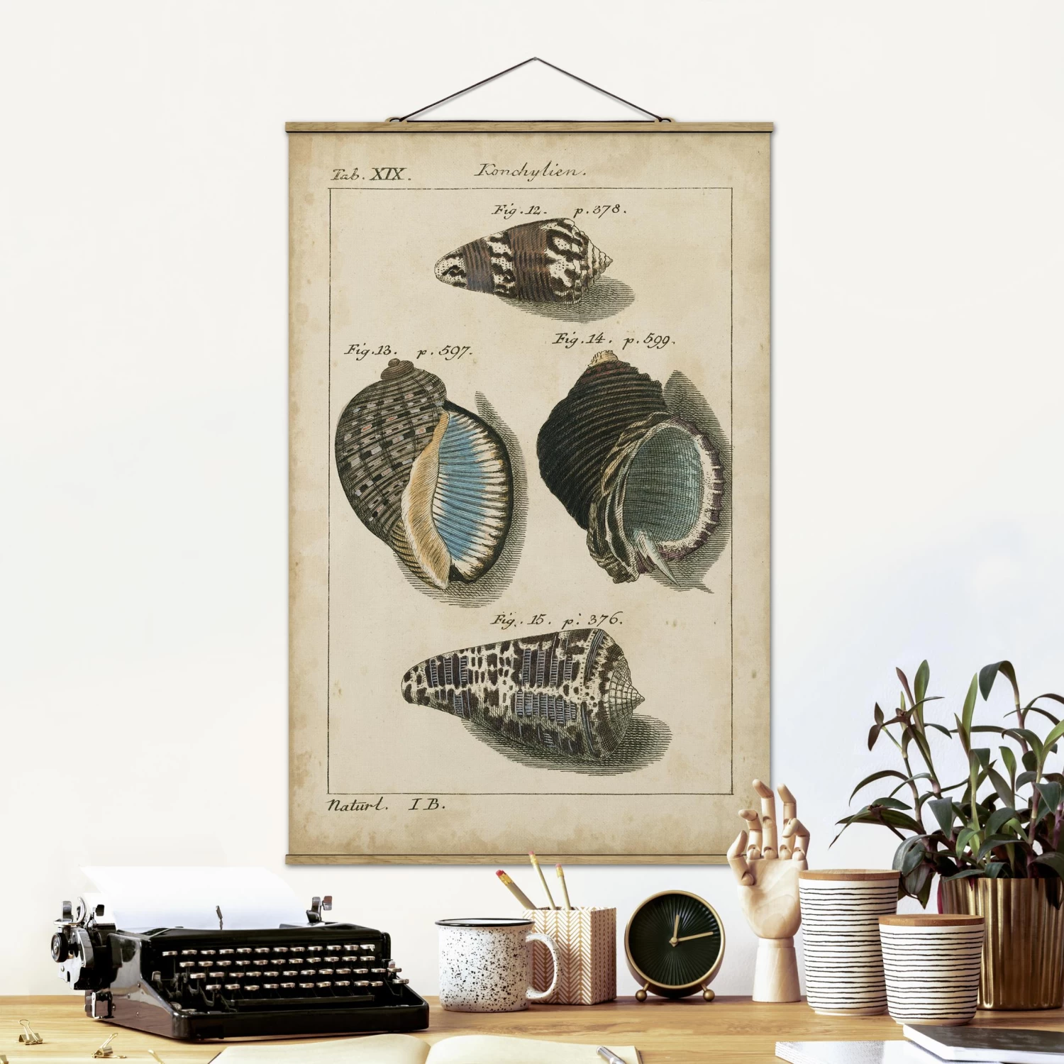 Stoffbild - Vintage Muschel Zeichnung Braun In Creme-Beige – Bild 2