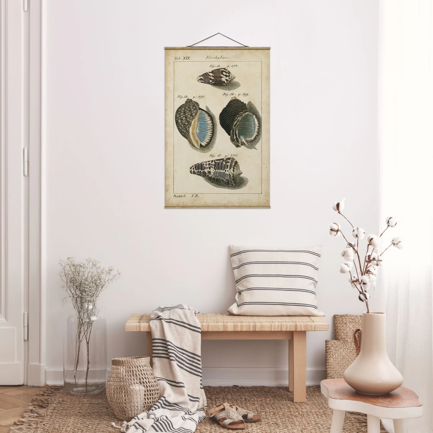 Stoffbild - Vintage Muschel Zeichnung Braun In Creme-Beige – Bild 3