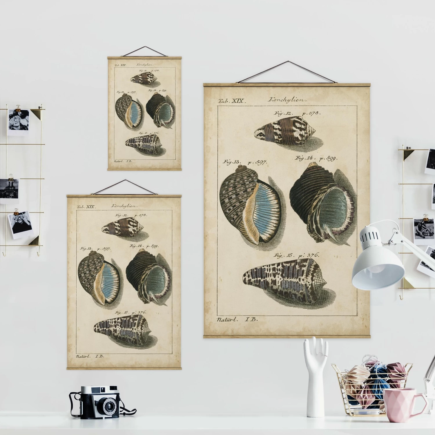 Stoffbild - Vintage Muschel Zeichnung Braun In Creme-Beige – Bild 7