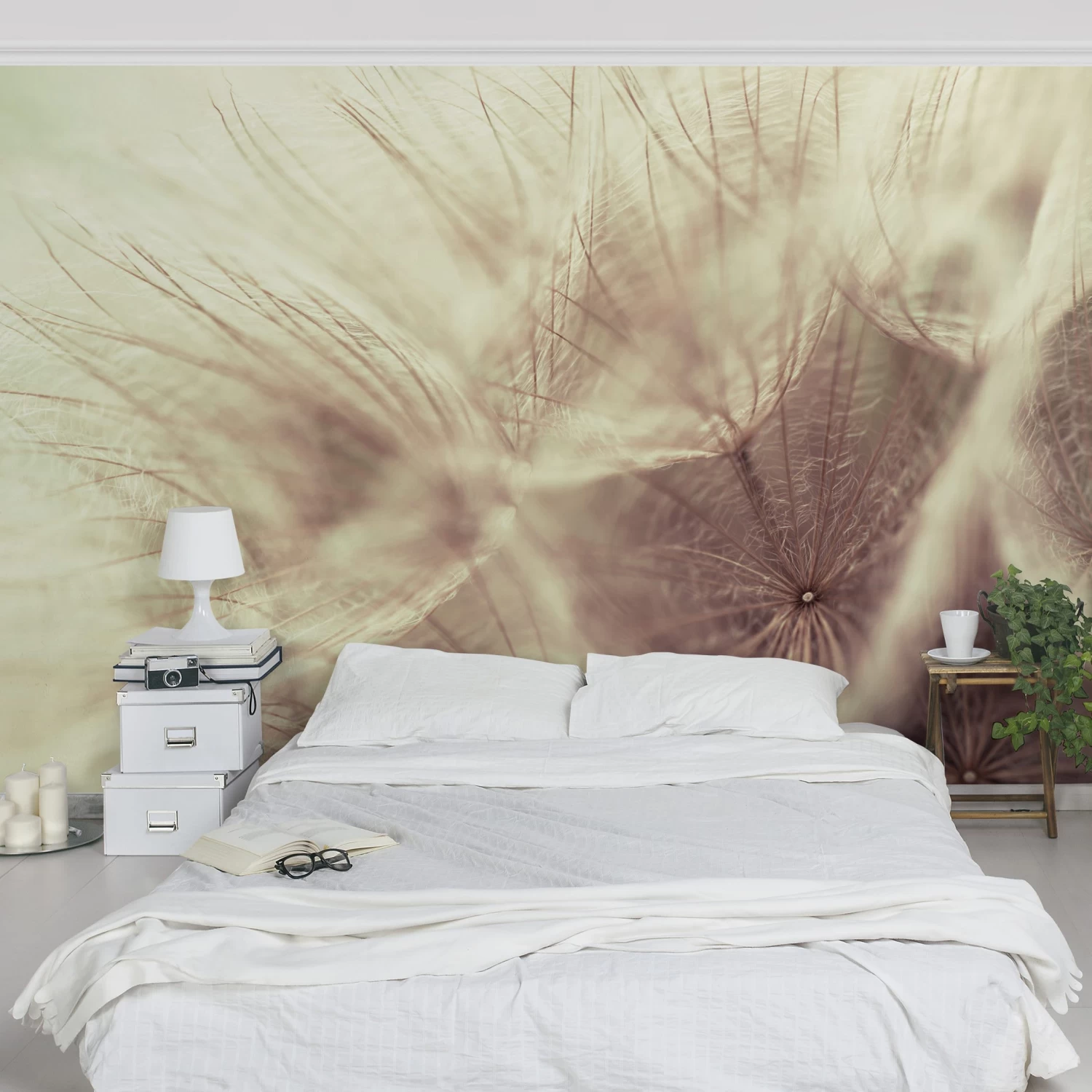 Vliestapete Premium - Detailreiche Pusteblumen Makro Vintage In Beige – Bild 3